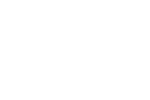 FVHF